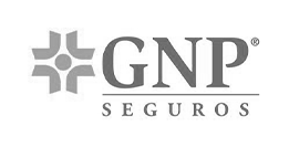 GNP aseguradora